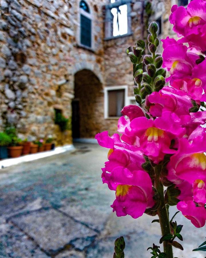 Chios Mantalenas Apartments Véssa Eksteriør bilde
